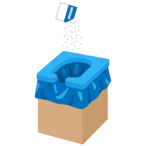 Best Local porta potty services  in Morton, TX